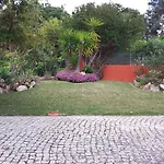 Luz