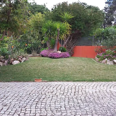 Luz